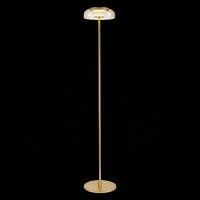 SL6002.205.01 Торшер ST-Luce Золотистый/Янтарный LED 1*7W 4000K LAZIO SL6002.205.01 Торшер ST-Luce Золотистый/Янтарный LED 1*7W 4000K LAZIO