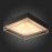 SL1127.422.05 Светильник потолочный ST-Luce Черный, Матовое золото/Белый E27 5*40W CHODO