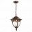 SL083.703.01 Светильник уличный подвесной ST-Luce Кофейный/Кофейный, Прозрачный E27 1*60W CHIANI