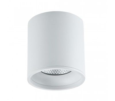 ST165.542.12 Светильник потолочный Белый LED 1*12W 4000K 840Lm Ra>90 36° IP44 D80xH85 85-265V Накладные светильники