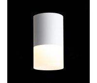 ST100.502.10 Светильник потолочный Белый LED 1*10W 3000K 780Lm Ra>80 120° D78xH135 170-240V Накладные светильники