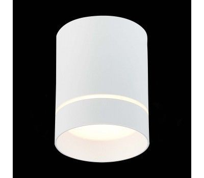 ST115.532.12 Светильник потолочный Белый LED 1*12W 3000K 840Lm Ra>90 120° IP20 D79xH100 170-240V Накладные светильники