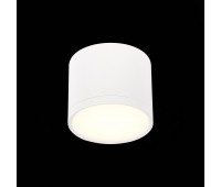 ST113.532.09 Светильник потолочный Белый LED 1*9W 3000K 702Lm Ra>90 120° IP20 D88xH75 170-240V Накладные светильники