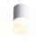 ST100.502.10 Светильник потолочный Белый LED 1*10W 3000K 780Lm Ra>80 120° D78xH135 170-240V Накладные светильники