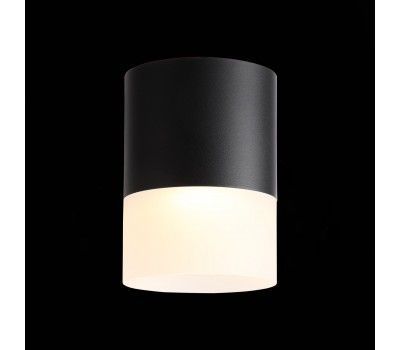 ST100.402.15 Светильник потолочный Черный LED 1*15W 3000K 1 170Lm Ra>80 120° D118xH150 170-240VV Накладные светильники