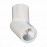 ST650.542.10 Светильник потолочный Белый LED 1*10W 4000K 800Lm Ra>90 38° IP44 D62xH151 165-265V Накладные светильники