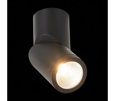 ST650.442.10 Светильник потолочный Черный LED 1*10W 4000K 800Lm Ra>90 38° IP44 D62xH151 165-265V Накладные светильники