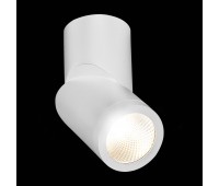 ST650.542.10 Светильник потолочный Белый LED 1*10W 4000K 800Lm Ra>90 38° IP44 D62xH151 165-265V Накладные светильники
