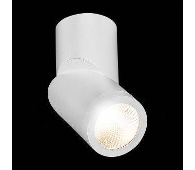 ST650.542.10 Светильник потолочный Белый LED 1*10W 4000K 800Lm Ra>90 38° IP44 D62xH151 165-265V Накладные светильники