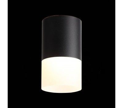 ST100.402.10 Светильник потолочный Черный LED 1*10W 3000K 780Lm Ra>80 120° D78xH135 170-240VV Накладные светильники