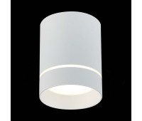 ST115.542.12 Светильник потолочный Белый LED 1*12W 4000K 840Lm Ra>90 120° IP20 D79xH100 170-240V Накладные светильники