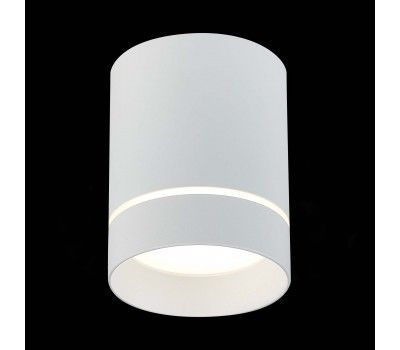 ST115.542.12 Светильник потолочный Белый LED 1*12W 4000K 840Lm Ra>90 120° IP20 D79xH100 170-240V Накладные светильники