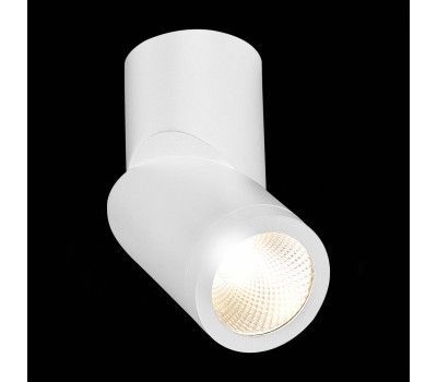 ST650.532.10 Светильник потолочный Белый LED 1*10W 3000K 800Lm Ra>90 38° IP44 D62xH151 165-265V Накладные светильники