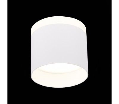 ST102.542.12 Светильник потолочный Белый LED 1*12W 4000K 936Lm Ra>80 120° IP20 D100xH90 170-240V Накладные светильники