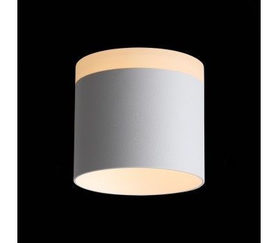 ST102.502.12 Светильник потолочный Белый LED 1*12W 3000K 936Lm Ra>80 120° IP20 D100xH90 170-240V Накладные светильники