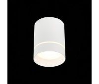 ST115.542.07 Светильник потолочный Белый LED 1*7W 4000K 490Lm Ra>90 120° IP20 D79xH100 170-240V Накладные светильники