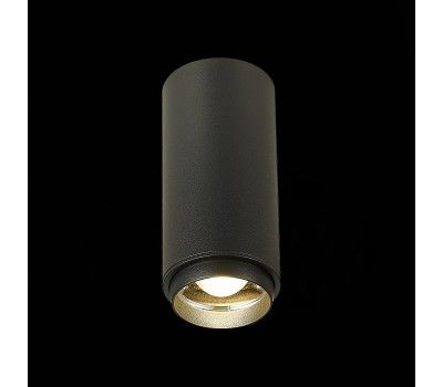 ST600.442.10 Светильник потолочный Zoom Черный LED 1*10W 4000K 1 000Lm Ra>80 15-60° IP20 D59xH130 17 Накладные светильники
