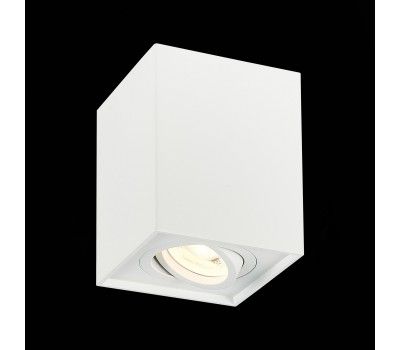 ST109.507.01 Светильник потолочный Белый GU10 1*50W  L100xW100xH123 220V Без ламп Накладные светильники
