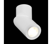 ST650.502.01 Светильник потолочный Белый GU10 1*50W IP20 D62xH151 180-240V Без ламп Накладные светильники