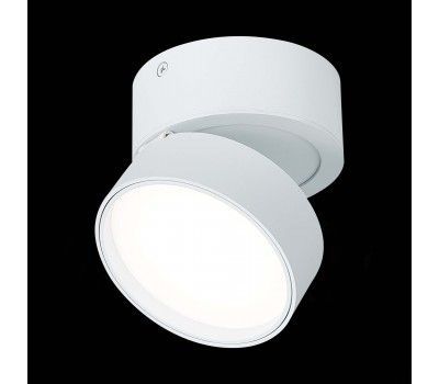 ST651.542.14 Светильник потолочный поворотный Белый LED 1*14W 4000K 1 100Lm Ra>90 120° IP20 D105xH88 Накладные светильники
