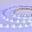 ST019.318.20RGBW Светодиодная лента SMD5050  - 17.28W/M 3000K+RGB 300Lm Ra>90 IP20 L1 000xW10xH- 24V Светодиодные ленты