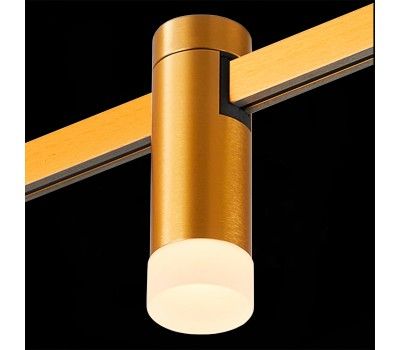 ST812.206.03 Магнитный трековый светильник FARM Золотистый LED 1*3W 3000K 93Lm Ra90 120 IP20 D29xH90 FARM