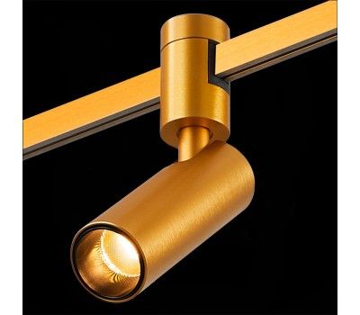 ST811.206.05 Магнитный трековый светильник FARM Золотистый LED 1*5W 3000K 350Lm Ra90 60 IP20 D35xH10 FARM