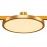 ST818.206.12 Магнитный трековый светильник FARM Золотистый LED 1*10W 3000K 520Lm Ra80 120 IP20 D168x FARM