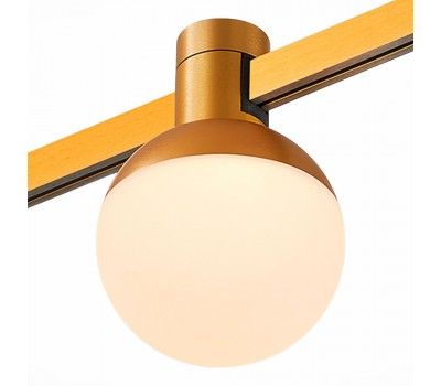 ST815.246.05 Магнитный трековый светильник FARM Золотистый LED 1*5W 4000K 89Lm Ra90 120 IP20 D75xH1 FARM
