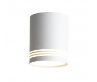 ST101.502.12 Светильник потолочный Белый LED 1*12W 3000K 936Lm Ra>80 120° IP20 D79xH100 170-240V Накладные светильники