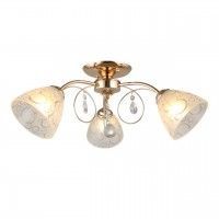Потолочная люстра 290 OML-29007-03