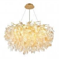 APL.850.03.13 APL.850.03.13