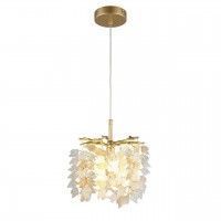 OML-52806-01 OML-52806-01