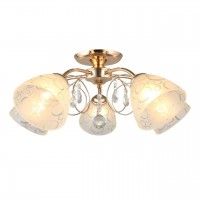 Потолочная люстра 290 OML-29007-05
