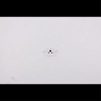 APL.0185.10.01 APL.0185.10.01