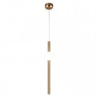 APL.038.06.12 APL.038.06.12