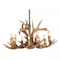 OML-52003-10 OML-52003-10