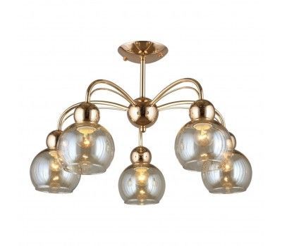 OML-66317-05 OML-66317-05