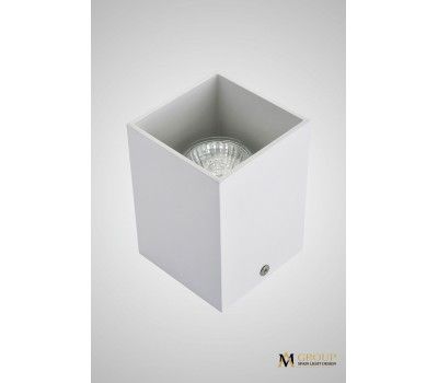 Потолочный накладной светильник белый AM Group AM01-110 WH