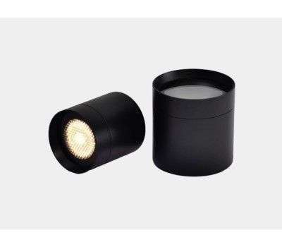 Накладной потолочный уличный светильник Вулкан 10Вт 220–240 В 3000K IP65 Lumker GW-C-GR-10-WW