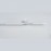 Бра Crystal Lux CLT 058W2 WH