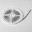 Лента LED 24V 5W 5m/roll 4000K без клейкой ленты Lightstar Lightstar 420544-02