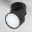 Светильник накладной Acuto  Acuto Lightstar 215887