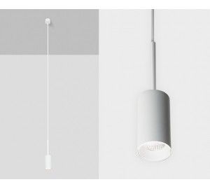 DL 3038 white